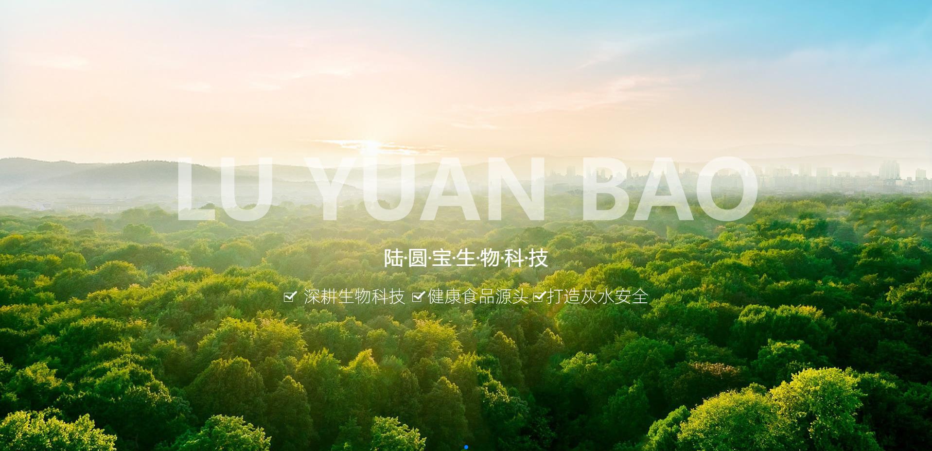 青峰创元集团案例平台